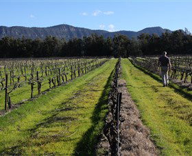 Around Hermitage Wine And Food Trail Hunter Valley - Accommodation ACT 1