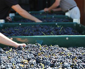 Around Hermitage Wine And Food Trail Hunter Valley - Accommodation ACT 6