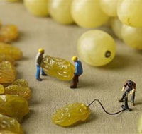 Hunter Valley Wine School - Accommodation ACT
