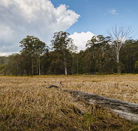 Mummel Gulf National Park - Accommodation ACT