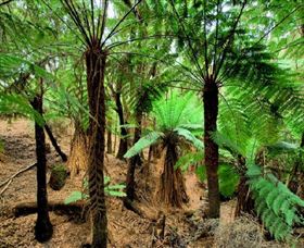 Pegarah Private Nature Reserve & Parenna Place - Accommodation ACT 0