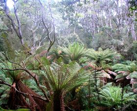 Pegarah Private Nature Reserve & Parenna Place - Accommodation ACT 1