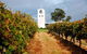 Bimbadgen Winery - thumb 0