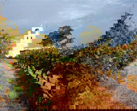 Bimbadgen Winery - Accommodation ACT 0