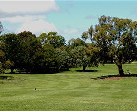 Cooma Golf Club - Accommodation ACT 1