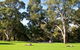 Kings Park And Botanic Garden - thumb 1