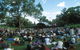 Kings Park And Botanic Garden - thumb 2