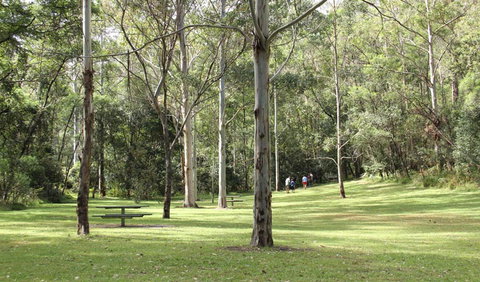 Mill Creek Picnic Area - Accommodation ACT 3
