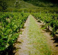 Gartelmann Wines - Accommodation ACT