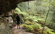 Dharug National Park - thumb 0