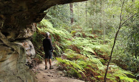 Dharug National Park - Accommodation ACT 0