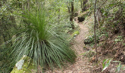 Dharug National Park - Accommodation ACT 2