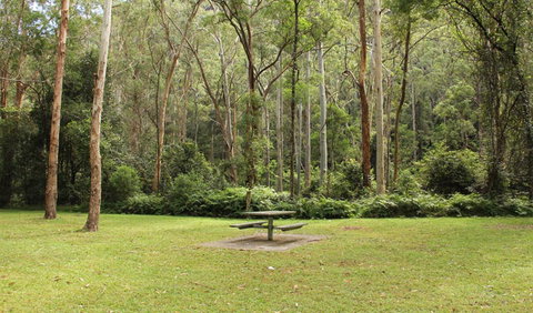 Dharug National Park - Accommodation ACT 3