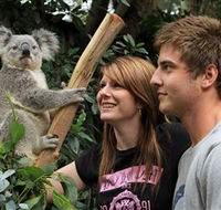 Featherdale Wildlife Park - Accommodation ACT