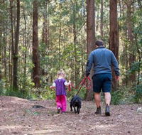 Olney State Forest - Watagan Mountains - Accommodation ACT