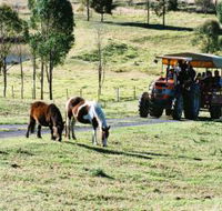 Calmsley Hill City Farm - Accommodation ACT