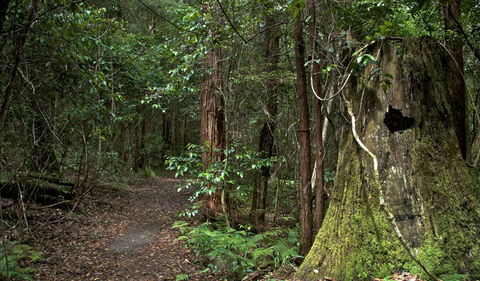 Jerusalem Creek Trail - Accommodation ACT 1