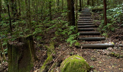 Jerusalem Creek Trail - Accommodation ACT 2