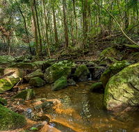 Palm Grove Nature Reserve - Accommodation ACT