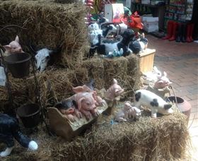 Country Elegance Gardens And Gifts - Accommodation ACT 3