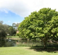 Hervey Bay Botanic Gardens - Accommodation ACT