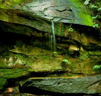 Strickland State Forest - Accommodation ACT