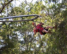 TreeTops Crazy Rider - Accommodation ACT 1