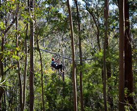 TreeTops Crazy Rider - Accommodation ACT 3
