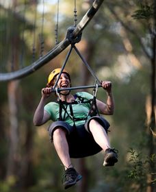 TreeTops Crazy Rider - Accommodation ACT 2