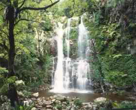 Budderoo National Park - The Falls Walk - Accommodation ACT 0