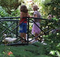 EG Waterhouse National Camellia Garden - Accommodation ACT
