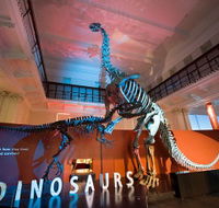 Australian Museum - Accommodation ACT