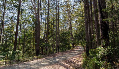 Hastings Forest Way Touring Route - Accommodation ACT 1