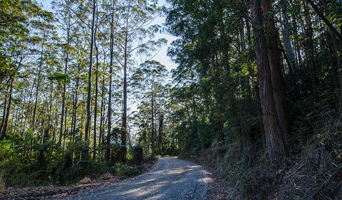 Hastings Forest Way Touring Route - Accommodation ACT 3