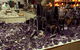 The Elephant Shop - thumb 6