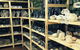The Elephant Shop - thumb 9