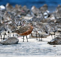 Cooloola Nature - Accommodation ACT