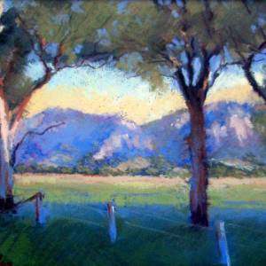 Galleries In The Gardens - Accommodation ACT 4