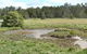 Boondall Wetlands Reserve - thumb 1