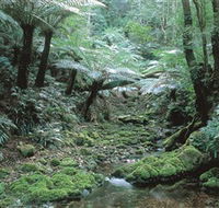 The Corn Trail Walk - Accommodation ACT