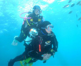Shellharbour Scuba & Photography Centre - Accommodation ACT 1