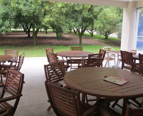 Medowie Macadamias - Accommodation ACT 1