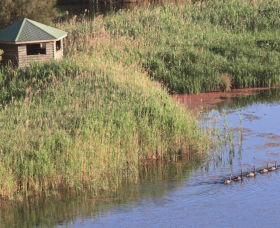 Spring Creek Bird Hide - Accommodation ACT 0