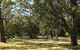 Seven Mile Beach National Park - thumb 0