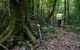 Botanic Walk - thumb 3