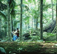 Illinbah circuit - Accommodation ACT