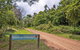 Antarctic Beech Picnic Area - thumb 0