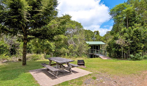 Antarctic Beech Picnic Area - Accommodation ACT 1