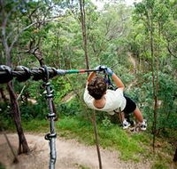 TreeTop Challenge - Accommodation ACT