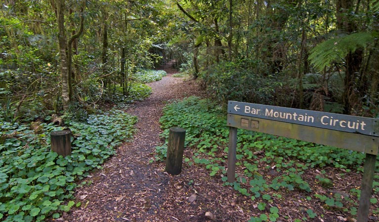 Upper Horseshoe Creek NSW Accommodation ACT